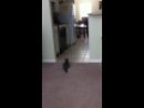 Expand Video