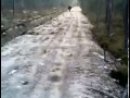 Dog Doppler Effect