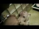 Expand Video