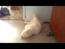 Expand Video
