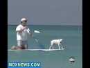 Expand Video