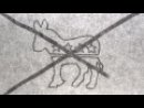 Expand Video
